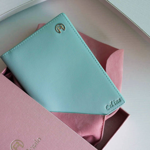 Turquoise Passport Holder